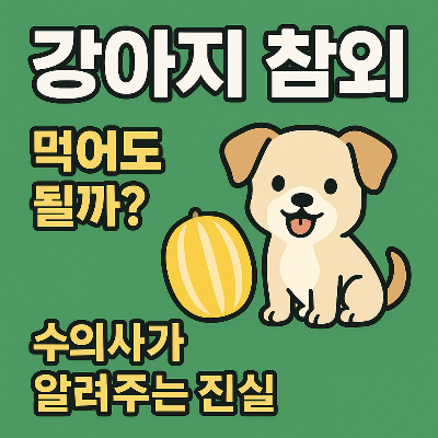 강아지 참외&amp;#44; 먹여도 될까? 여름철 필수과일 급여 가이드