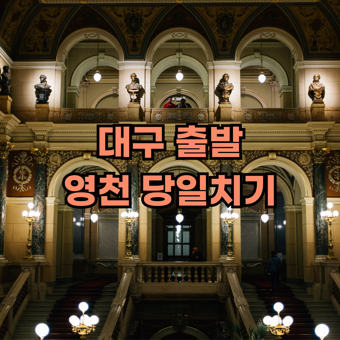 대구출발 영천 여행