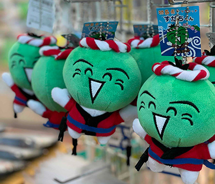 이스타 ZE671 도쿠시마 공항 면세점 이용 방법, 도쿠시마 지도 계획표 공유