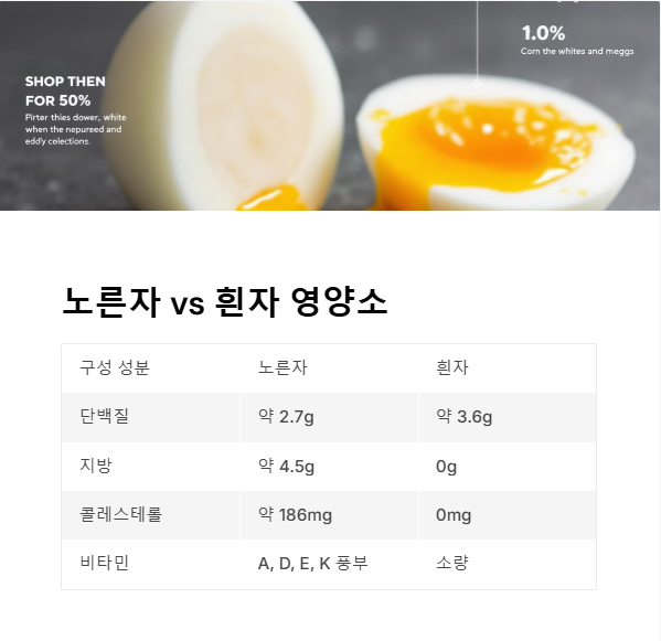 계란 노른자 vs 흰자, 영양소 비교