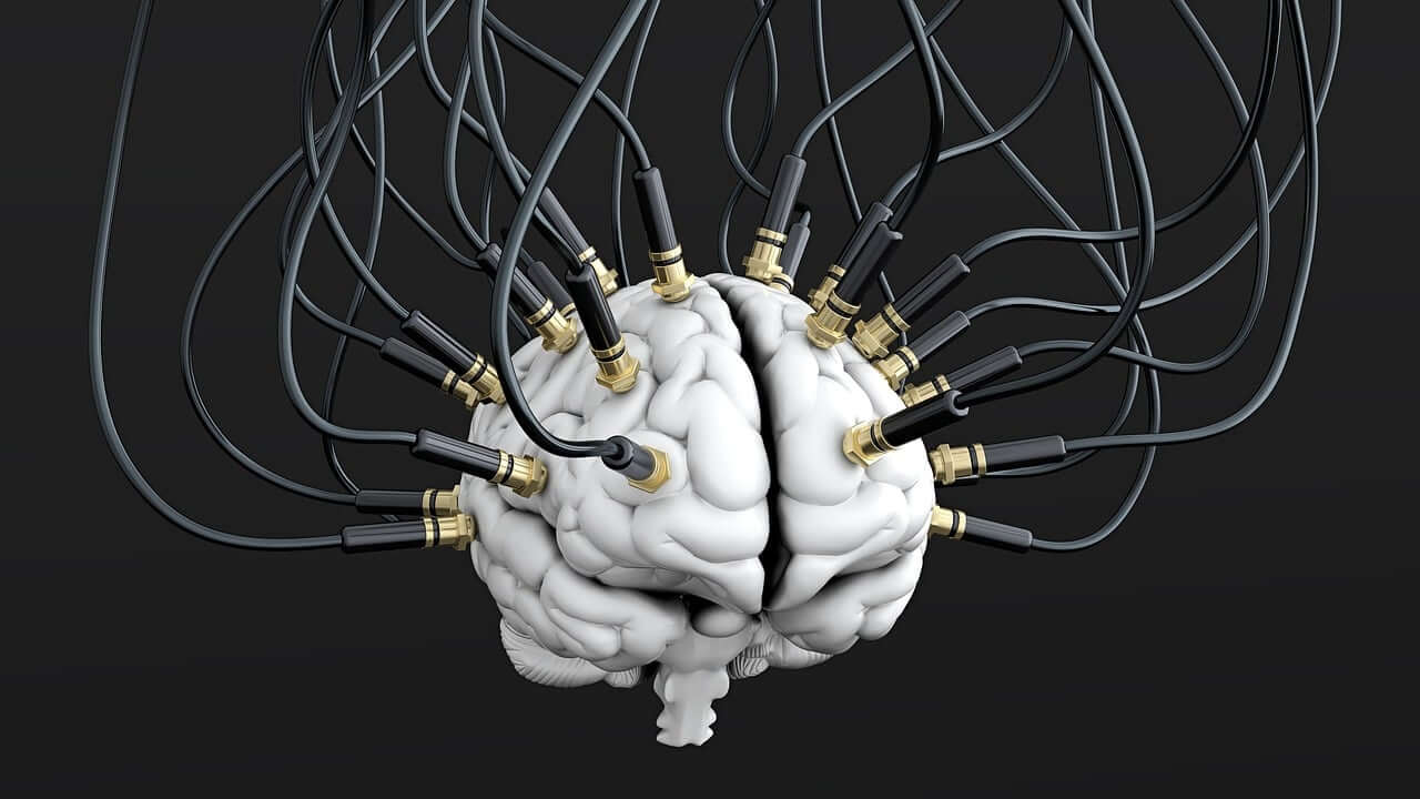 이중언어 사용자의 언어 전환(Task-Switching) 뇌 회로