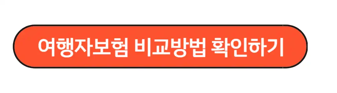 여행자보험비교 확인