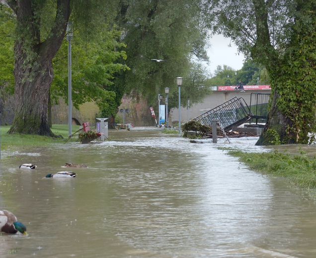기토는 임수를 만나면 범람할 수 있다