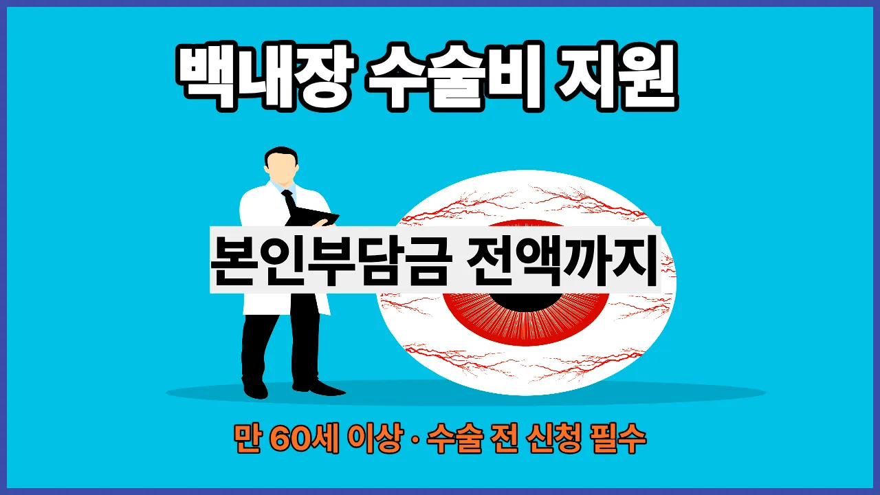 노인 백내장 수술비 지원 두 가지 방법 본인부담금 전액 신청 2026