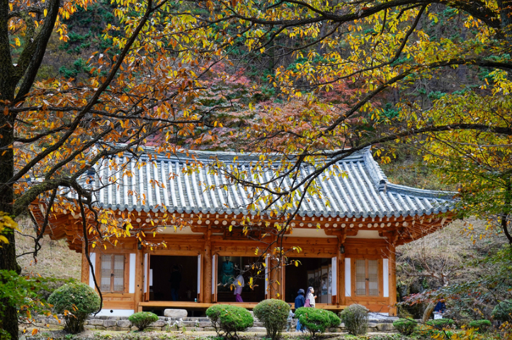 용담정