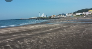 2024년 제주도 해수욕장 BEST 12