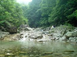 경기도계곡 추천 갈만한곳 베스트10