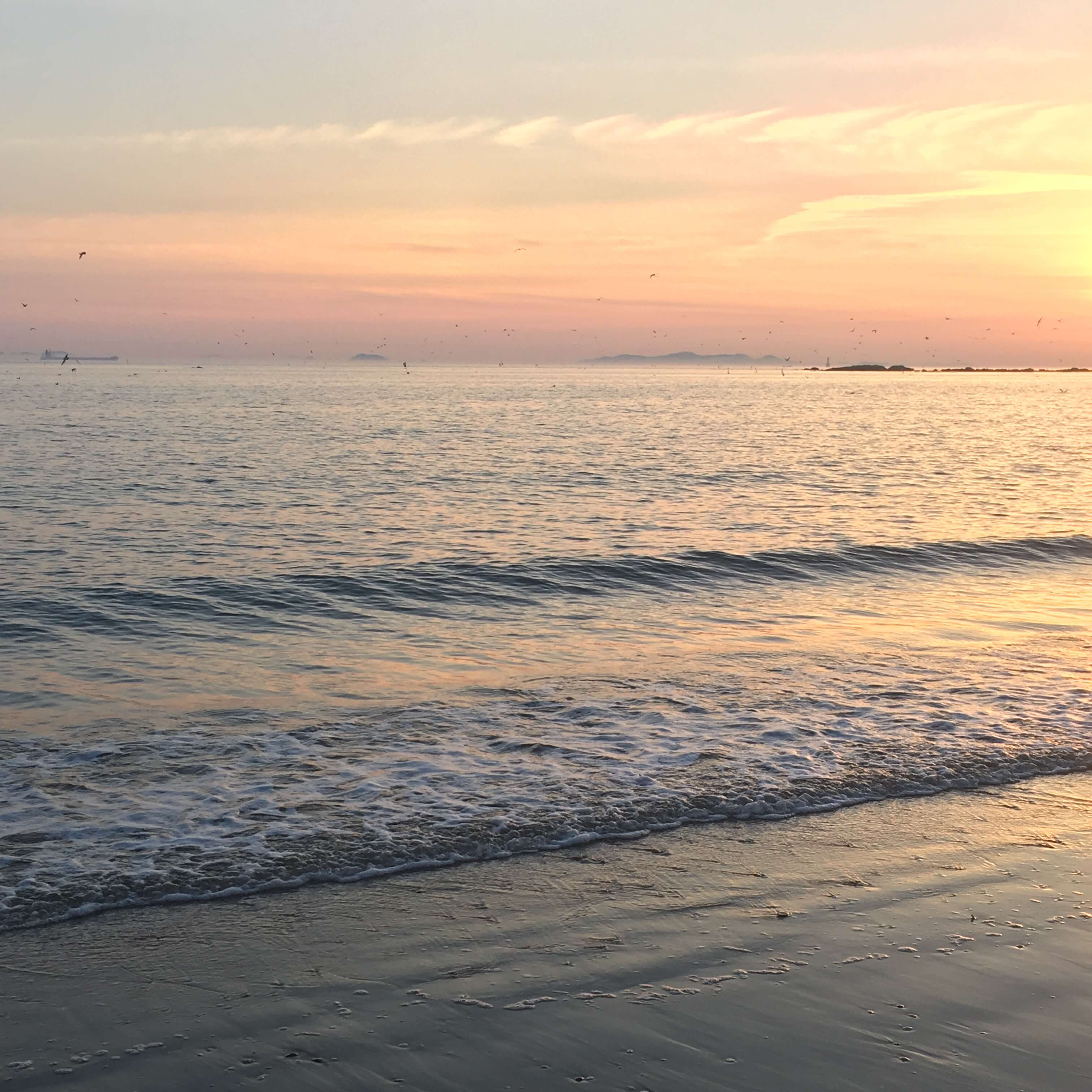 여름 숙박세일페스타