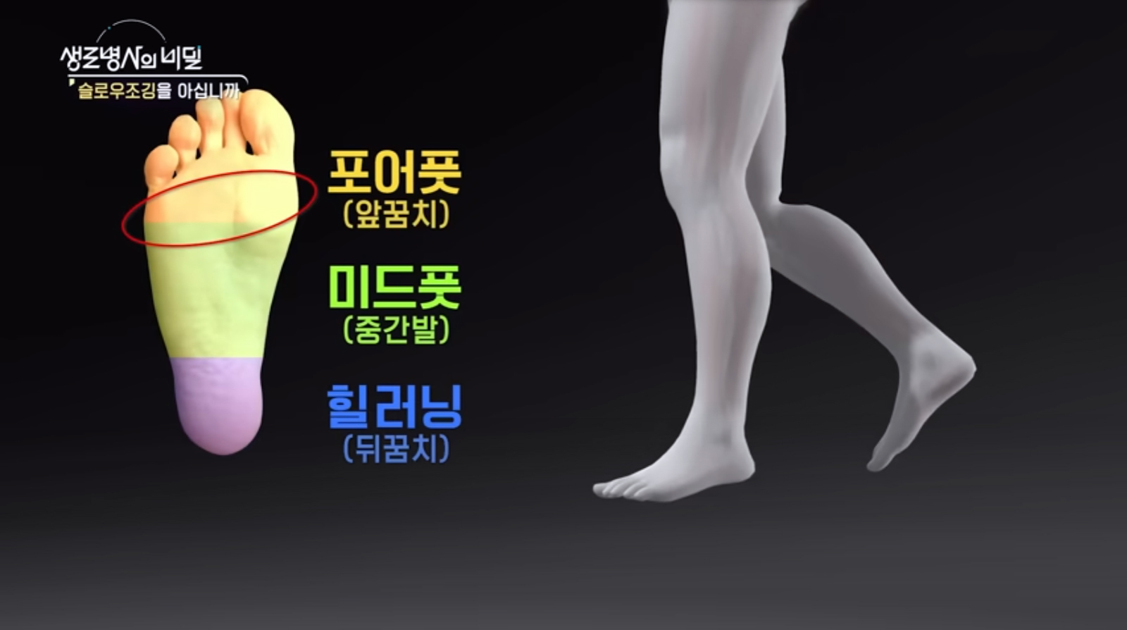 슬로우 조깅