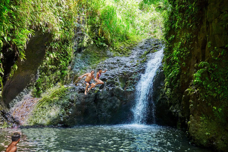 신혼여행지 추천 순위-하와이-포 시즌스