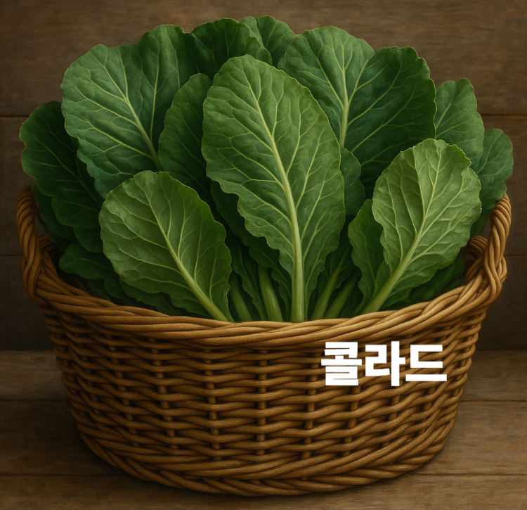 비타민A 비타민C 비타민K 빈혈예방 체중관리 콜라드 효능 영양성분