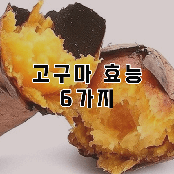 고구마 효능 6가지