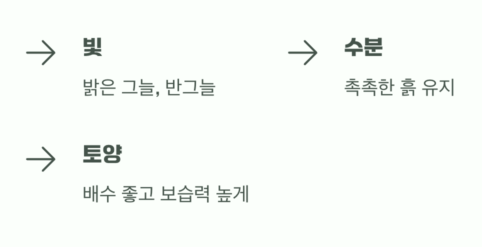 범의귀를 위한 최고의 자리