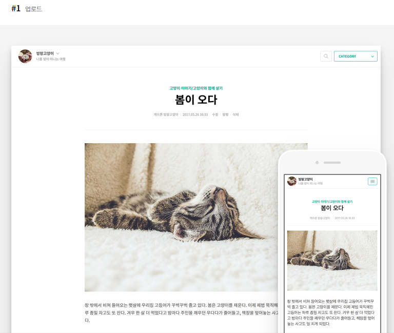 티스토리 #1 스킨