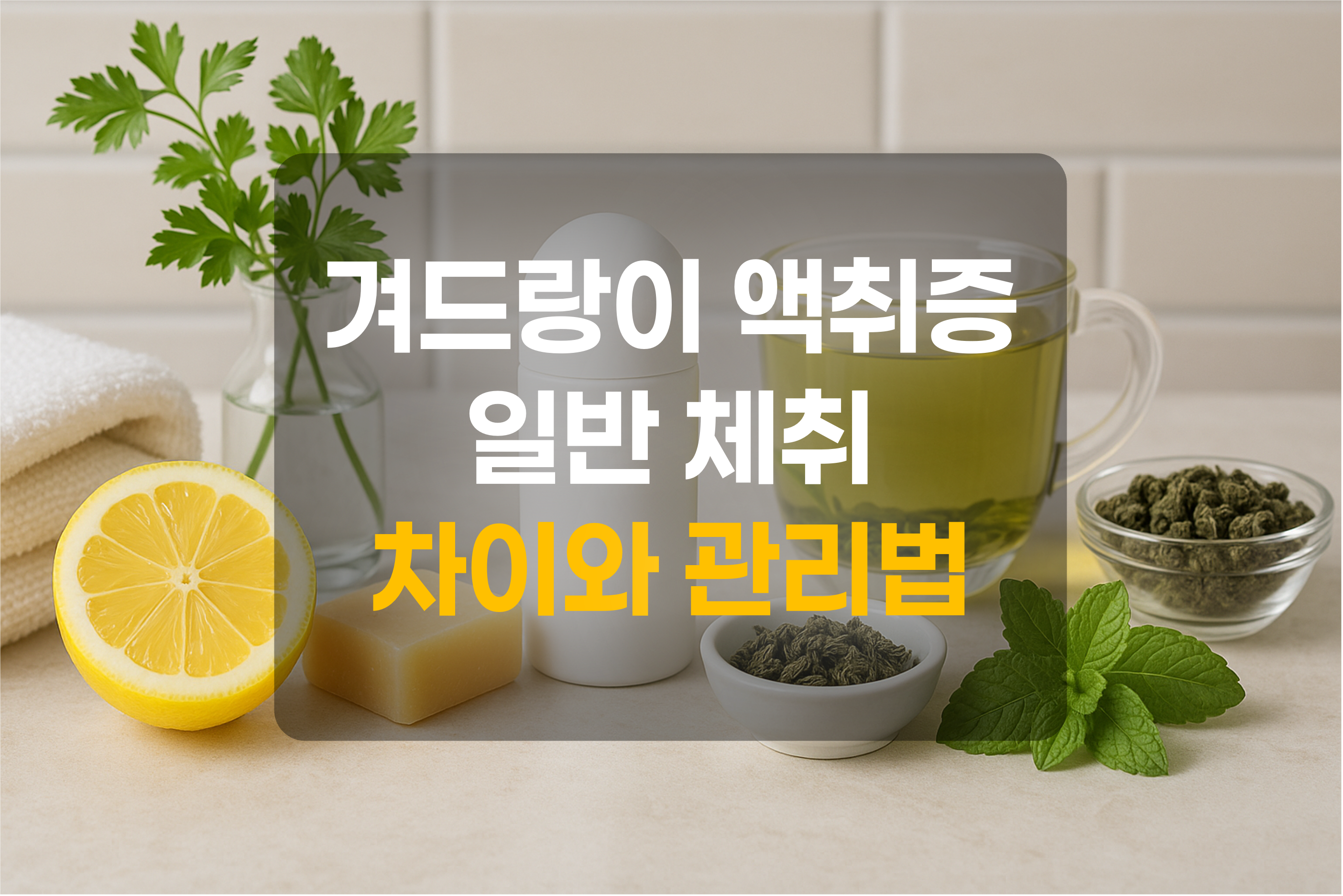 체취제거에 좋은 음식과 제품을 표현한 그림