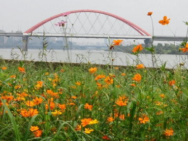 2023 서울페스티벌