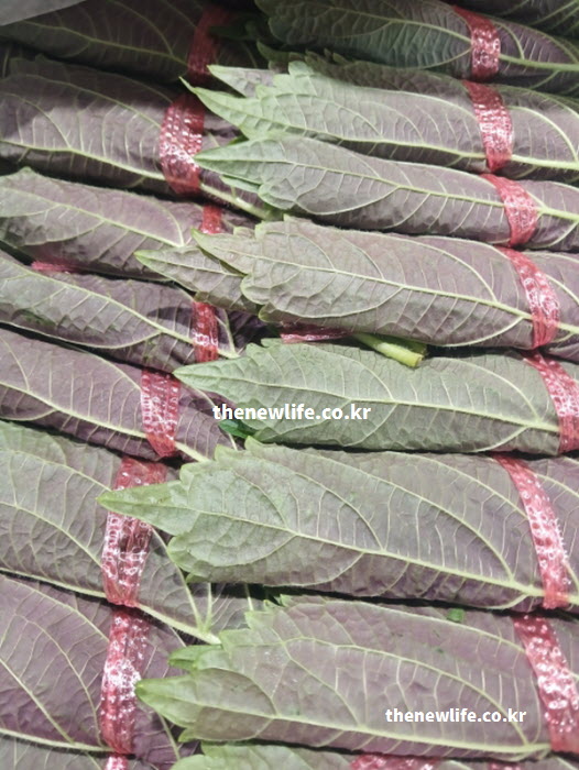 자색 깻잎 효능 활용한 효소 및 장아찌 실사진