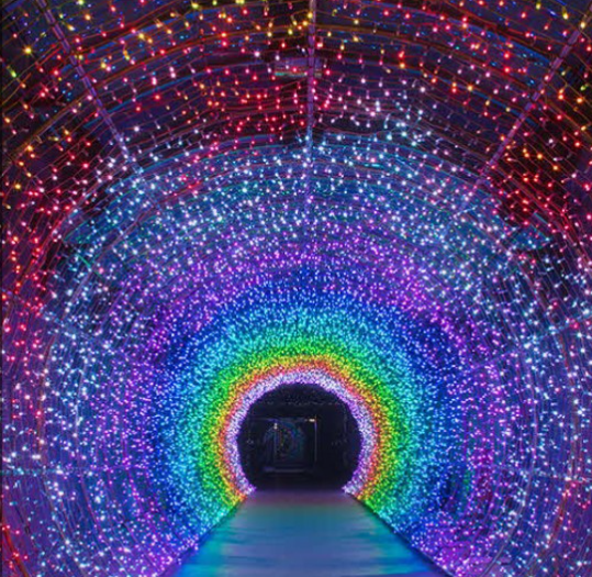 수양개빛터널 사진