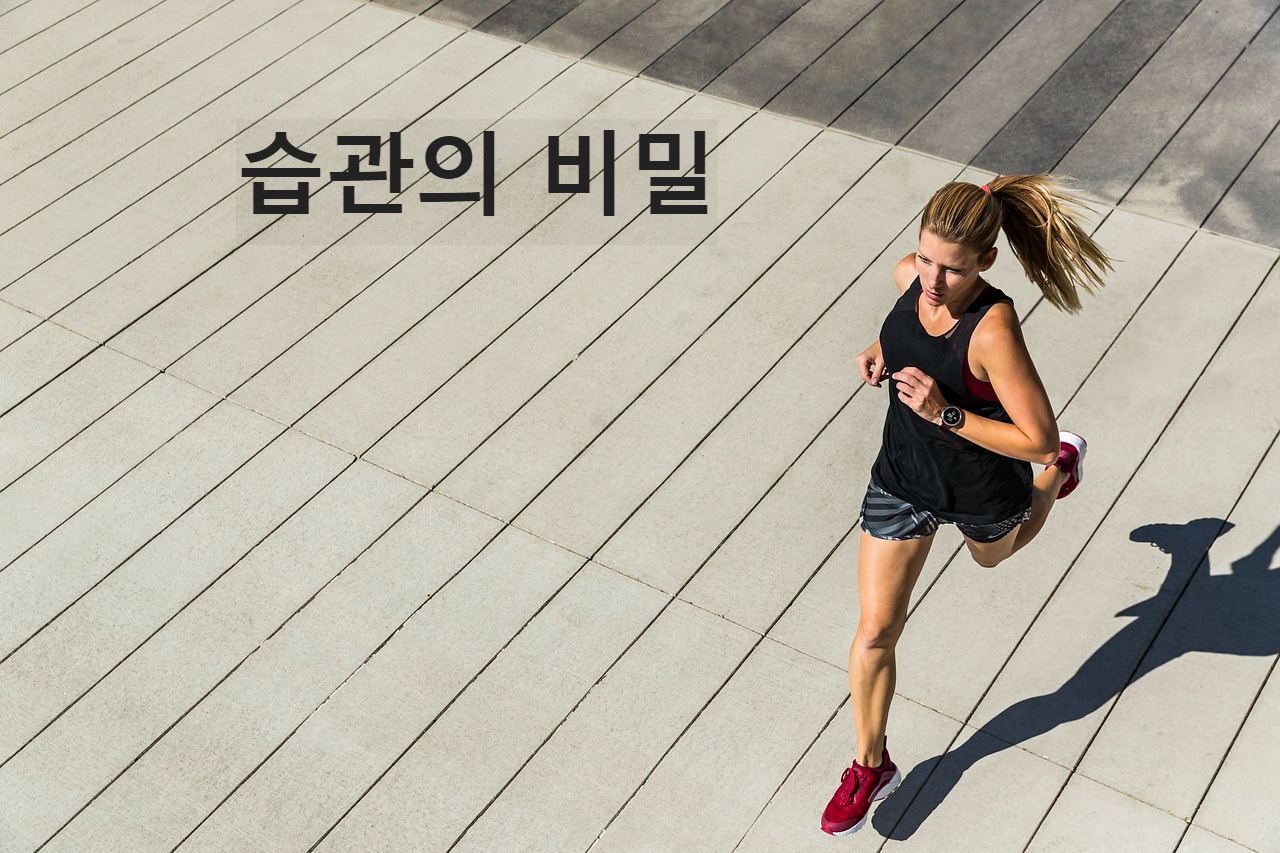 습관의 비밀