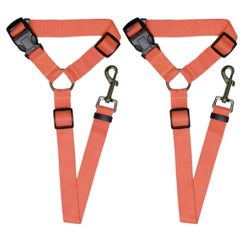 반려동물 몸에 거는 안전벨트