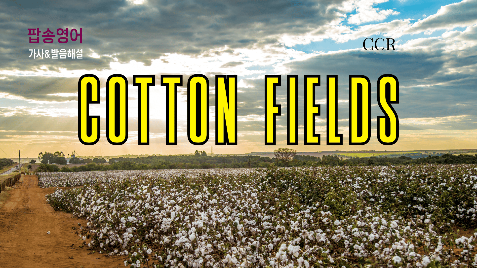 CCR 'Cotton Fields'로 미국 남부 영어 완전 정복!