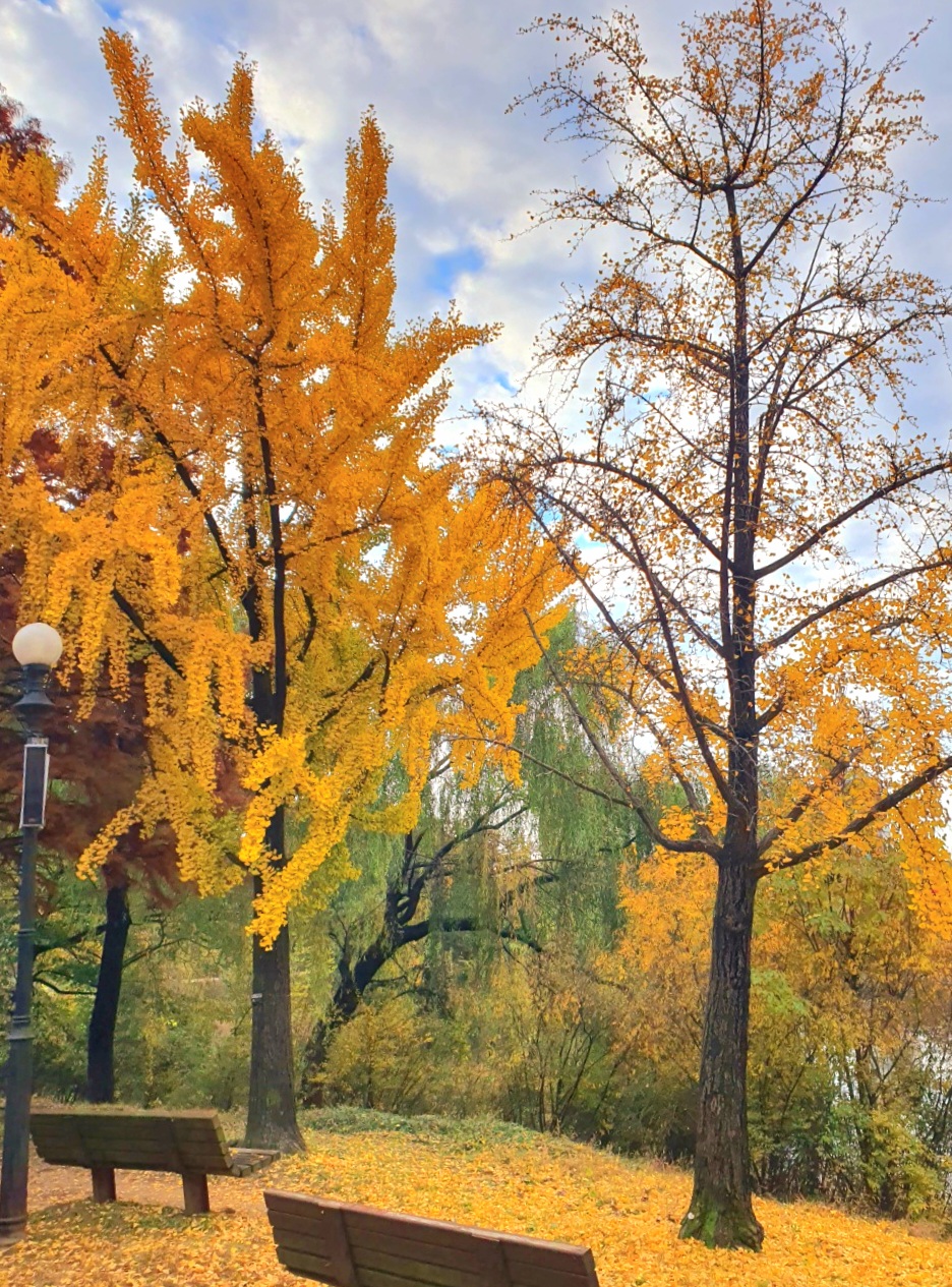 걷다가-쉴-수-있는-벤치가-많아요.