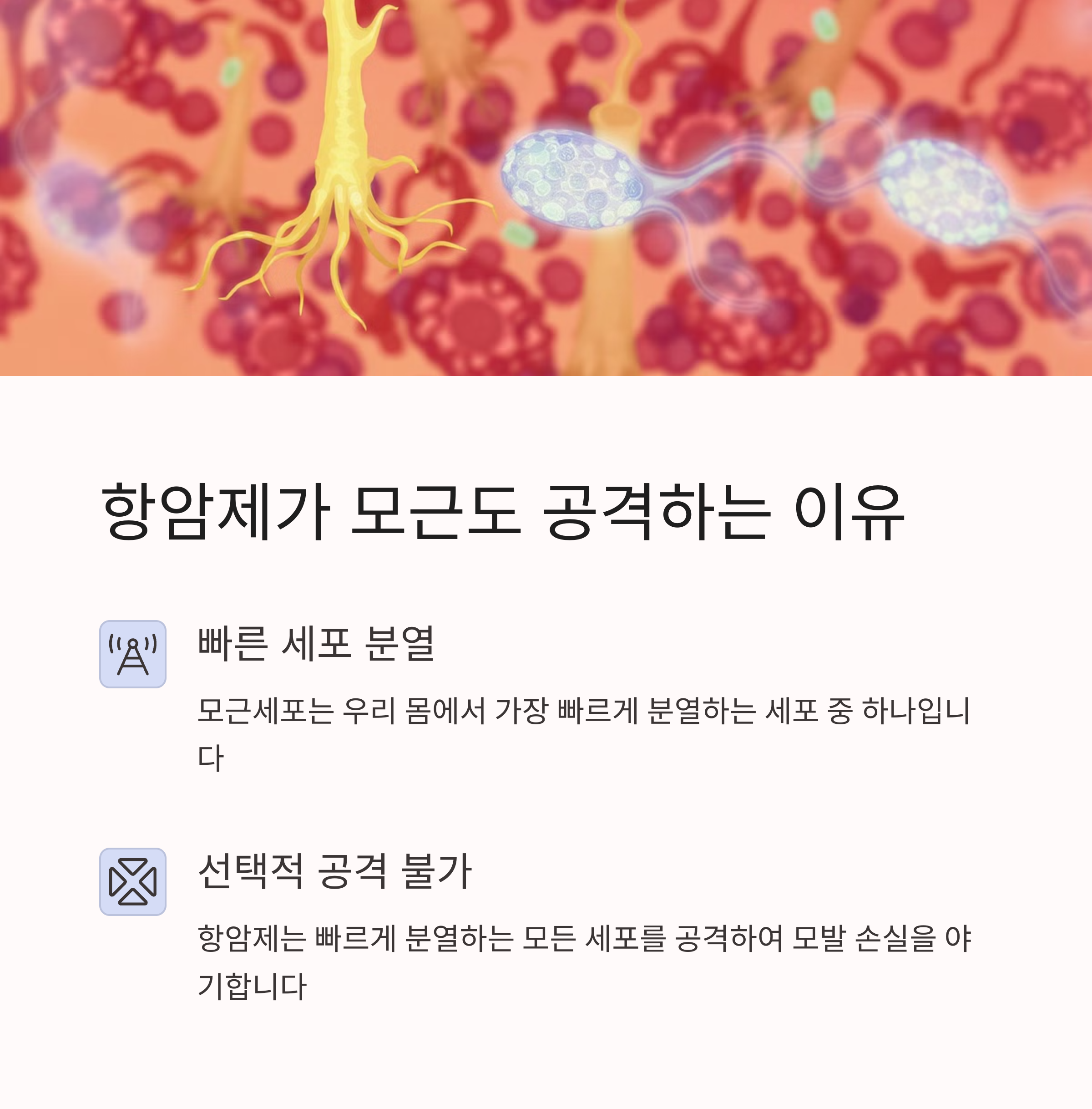 항암제가 모근도 공격하는 이유