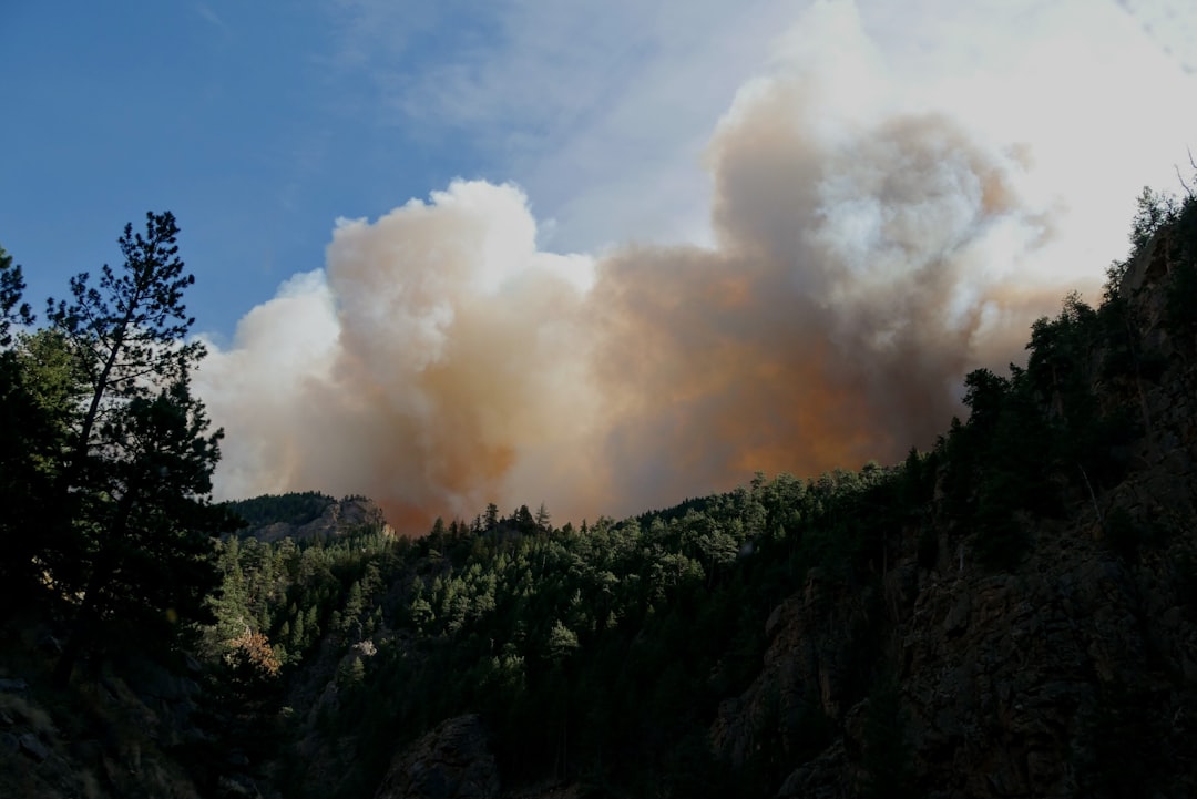 Wildfire.