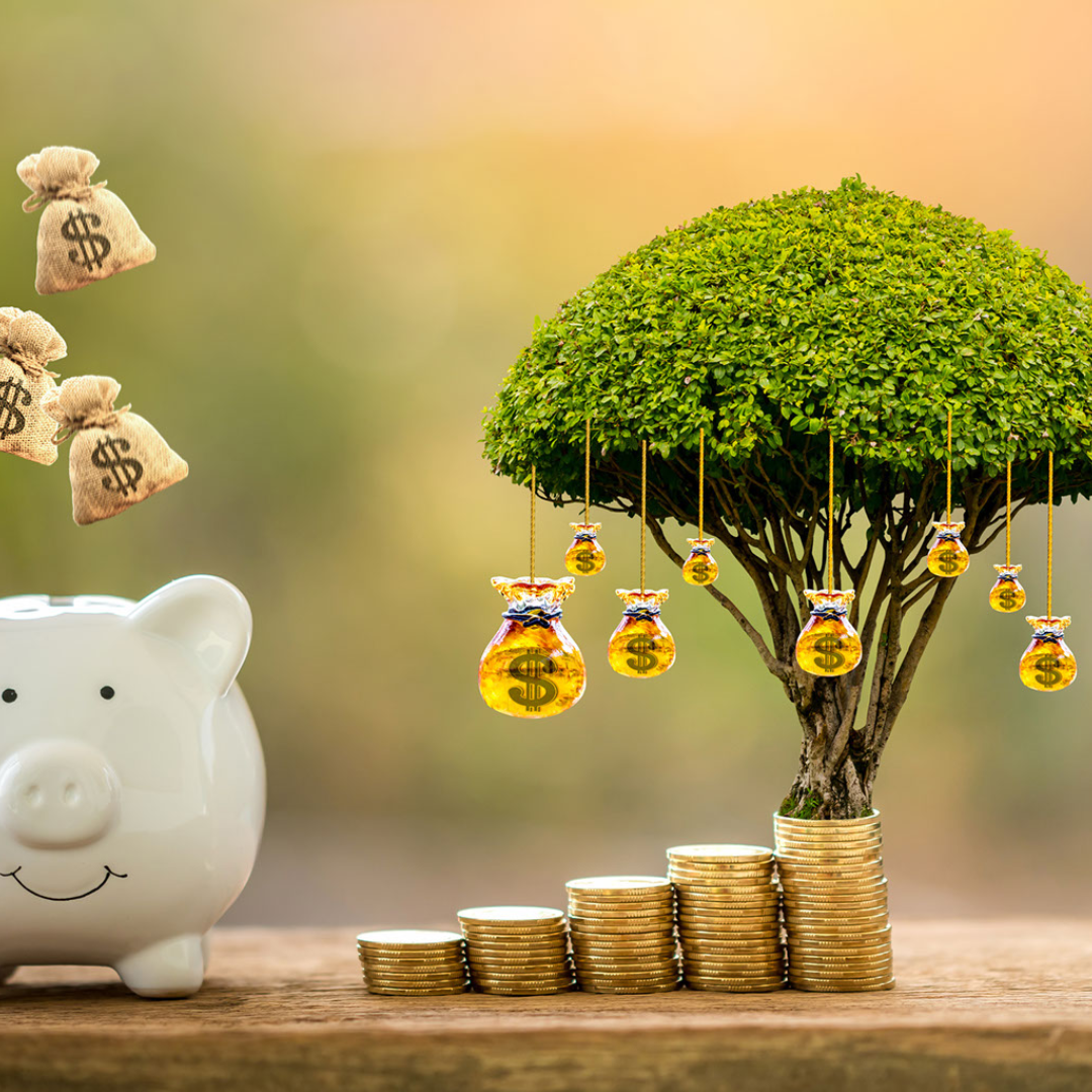 청년도약계좌 금리(정부공시), 신청방법, 가입조건