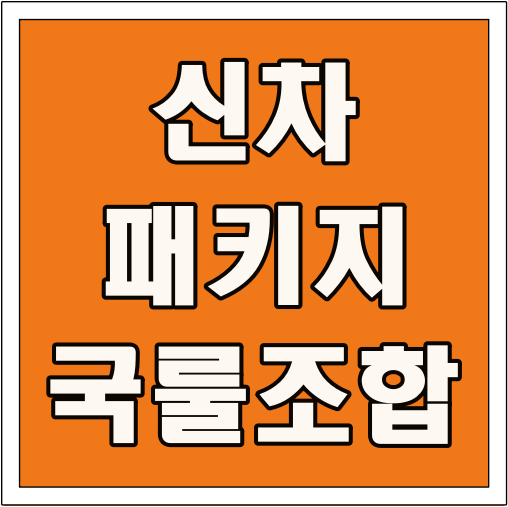 신차 패키지 국룰 조합 글씨 썸네일