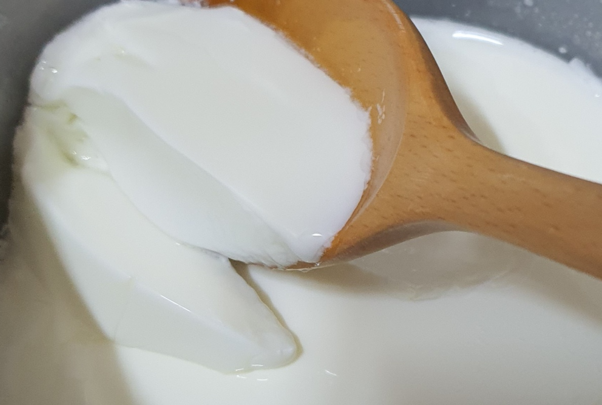 발효 직후 겉보기는 잘 굳은 요거트 사진