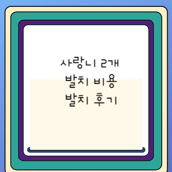 사랑니 2개 발치 비용 발치 후기