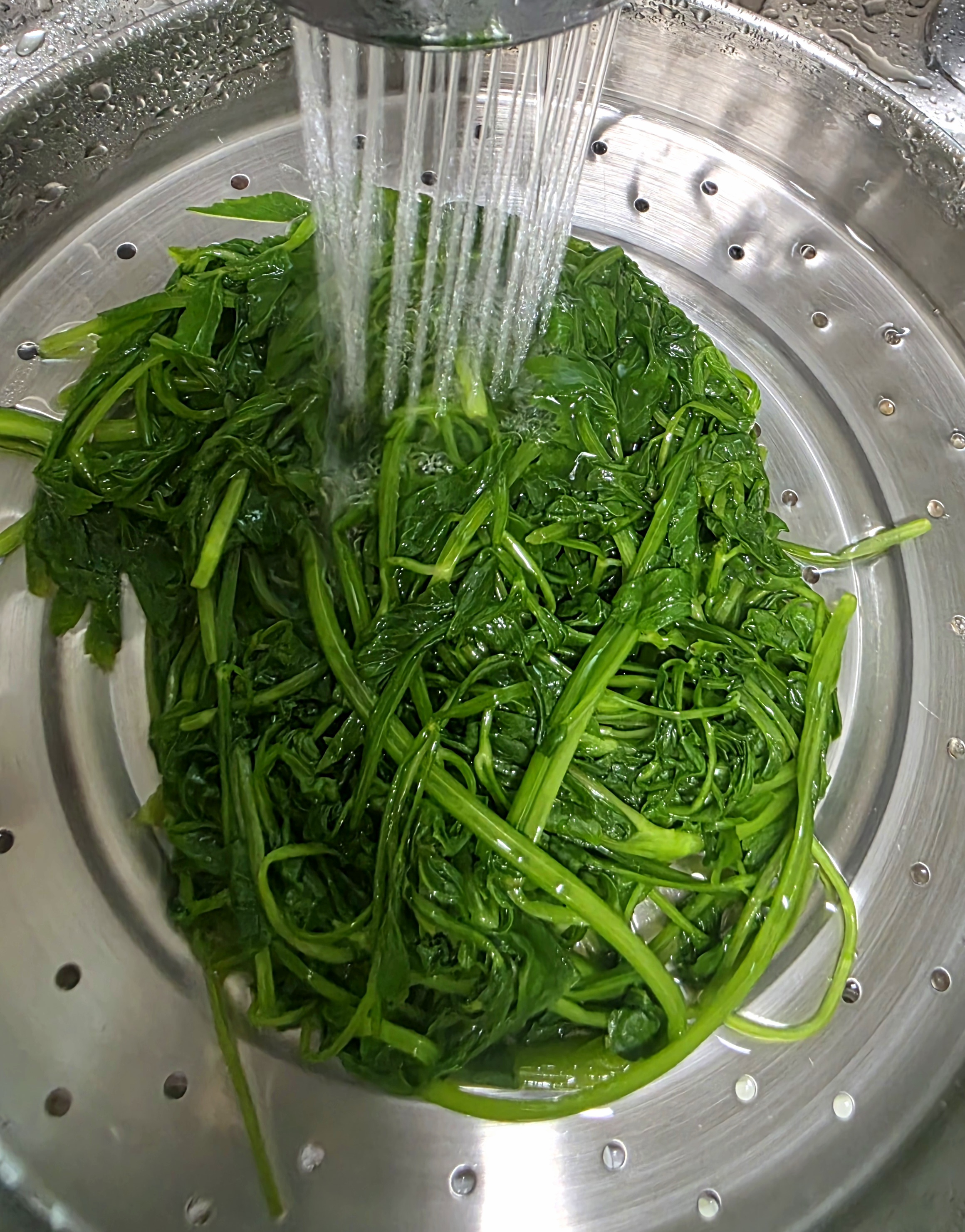 데친-후-찬-물에-헹궈요.