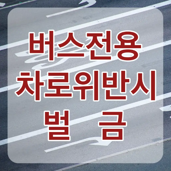 도로 흰색 선 위 흰테두리 붉은글씨 버스전용 차로위반시 벌금