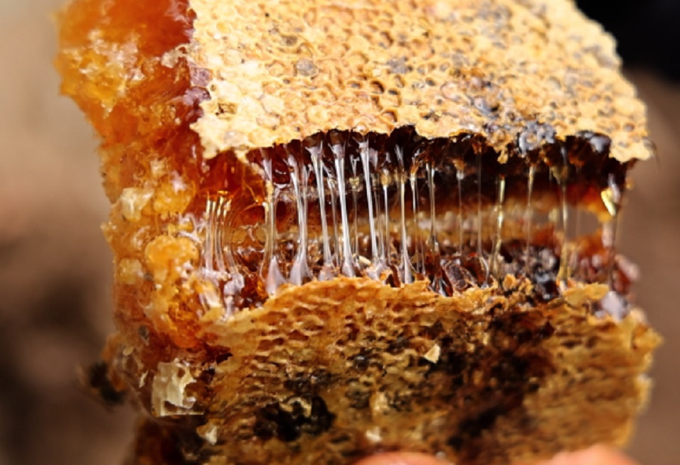 봉화-토종벌꿀-원곡마을-윤재원