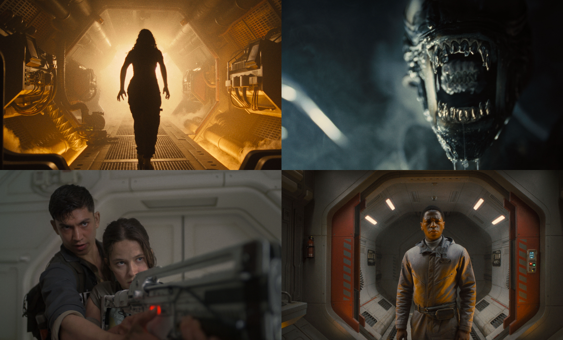 에일리언 7 로물루스