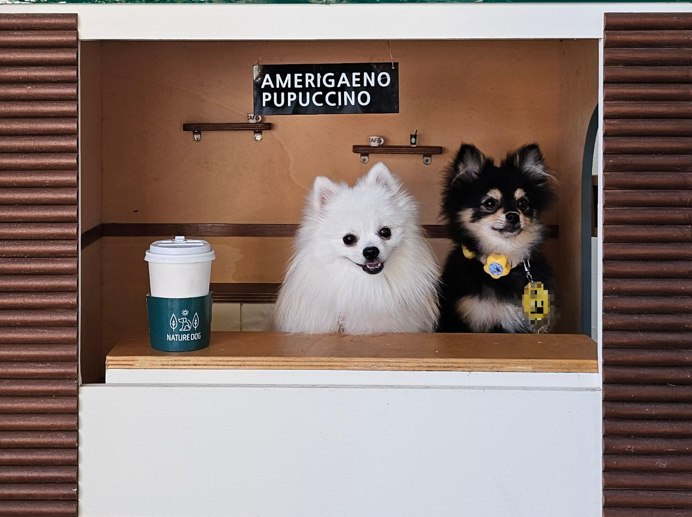 밥이 세상에서 제일 좋은 하콩&amp;달콩