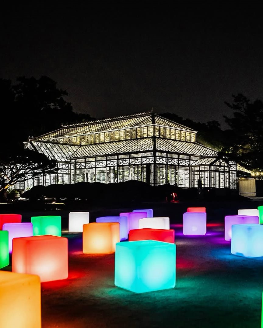 창경궁 물빛연화