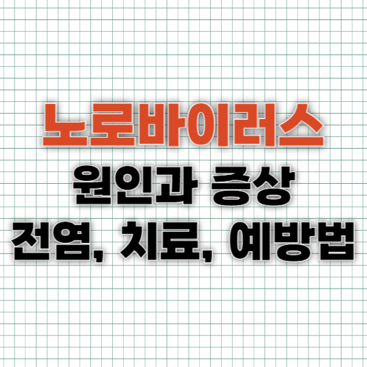 노로바이러스 원인과 증상 (+전염, 치료, 예방법)