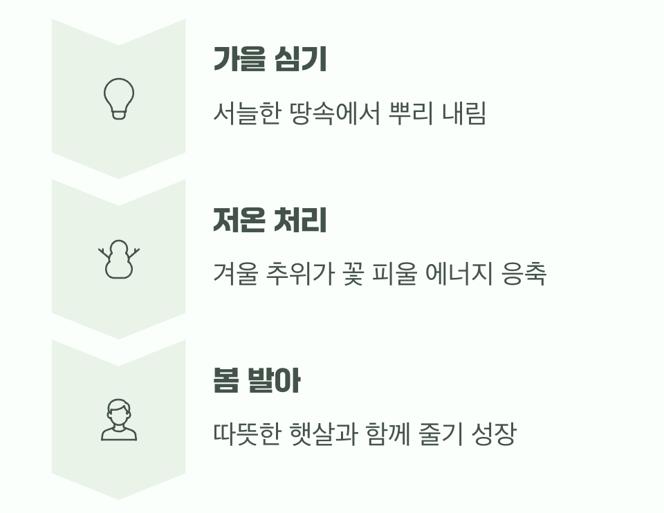 가을에 심는 약속&amp;#44; 겨울잠의 비밀