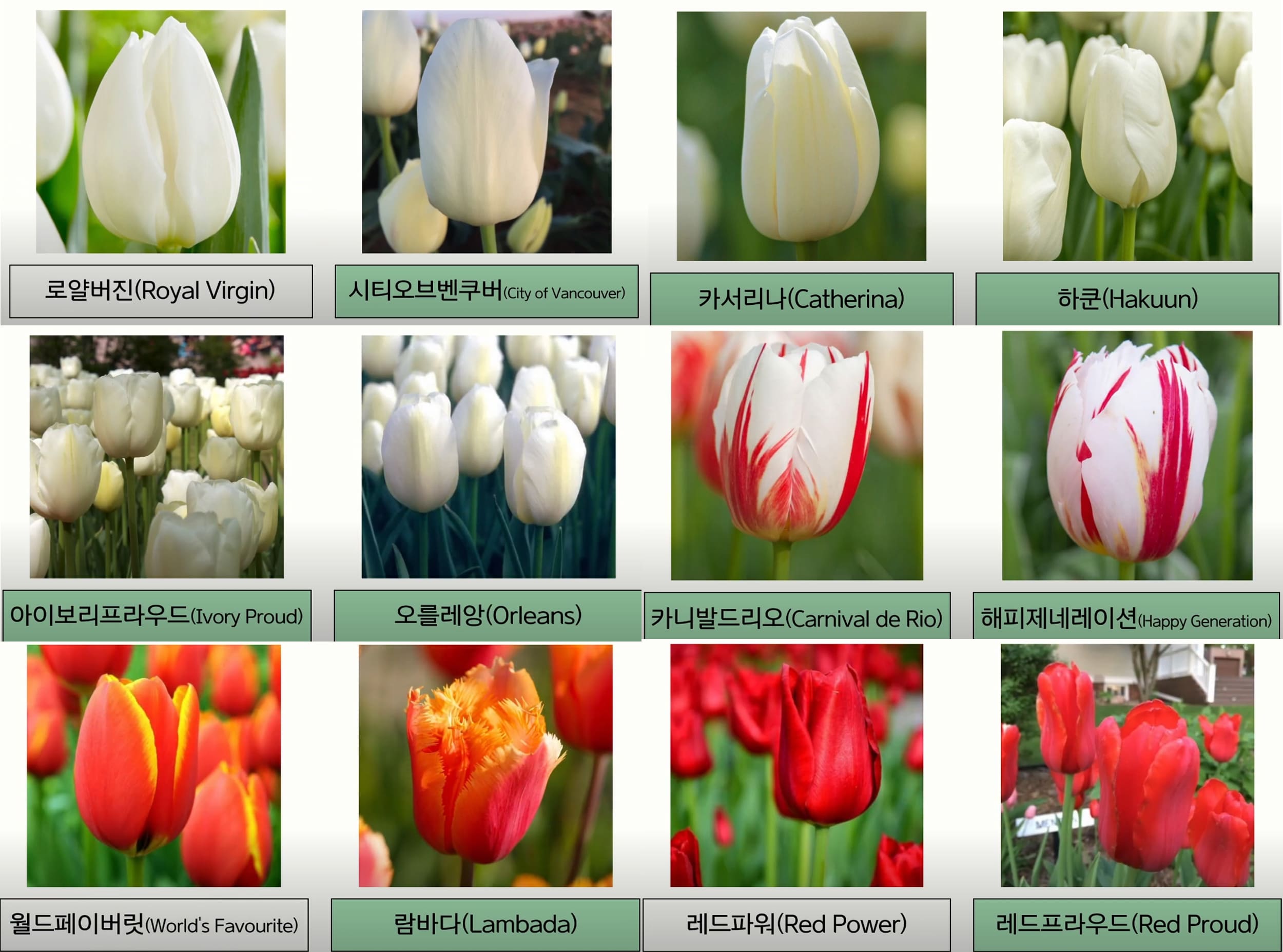 봄꽃여행지추천 4월 충청지역여행지추천