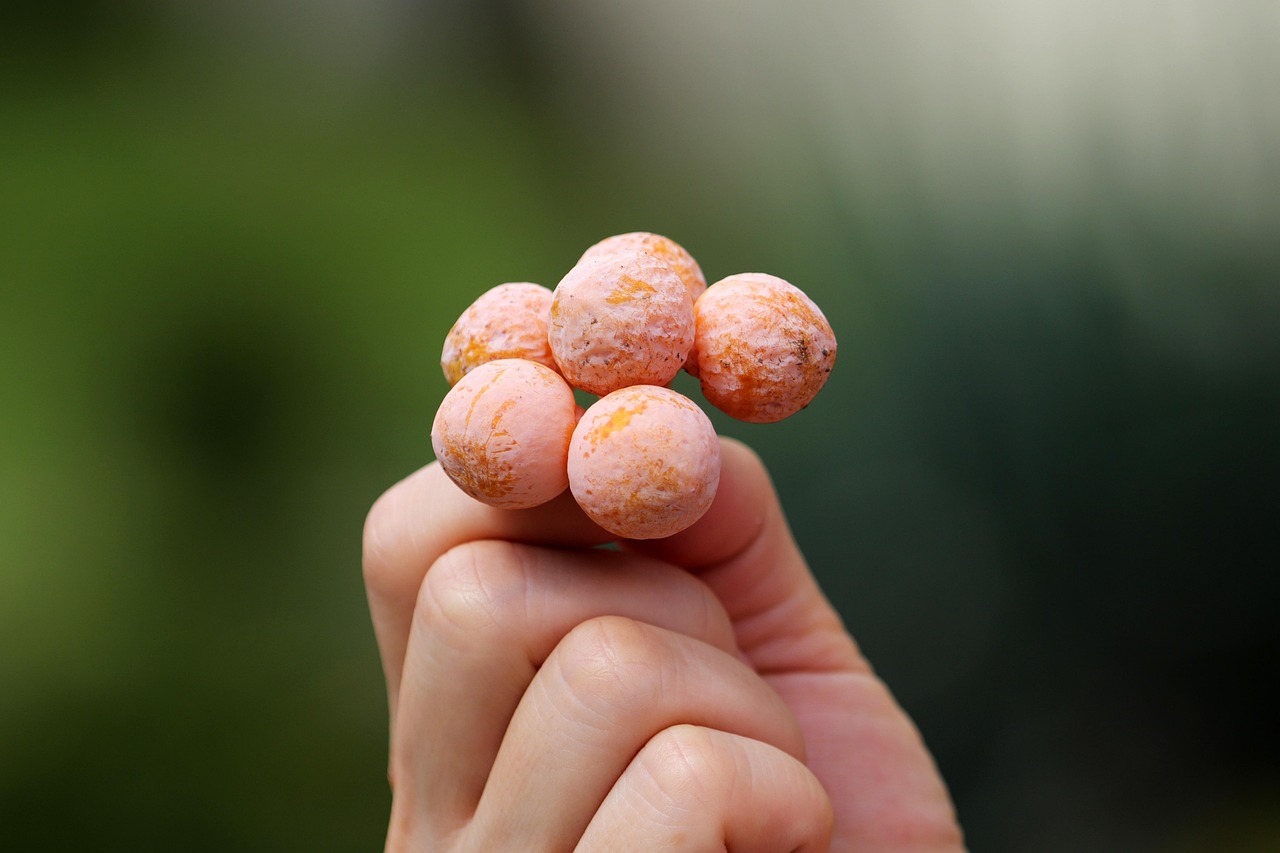 2025년 건강변화! 은행이 주목받는 이유