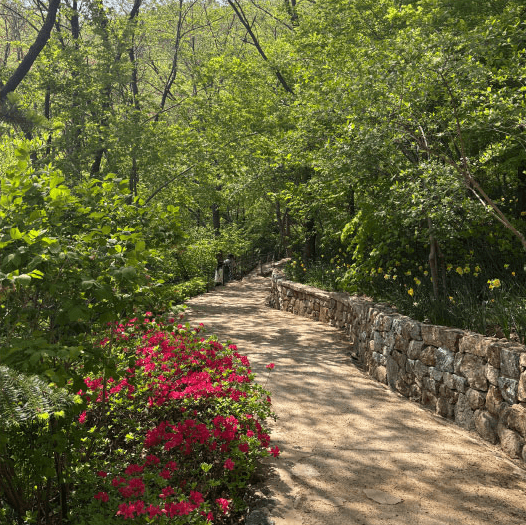 2025 화담숲 예약하기 모노레일 예약하기