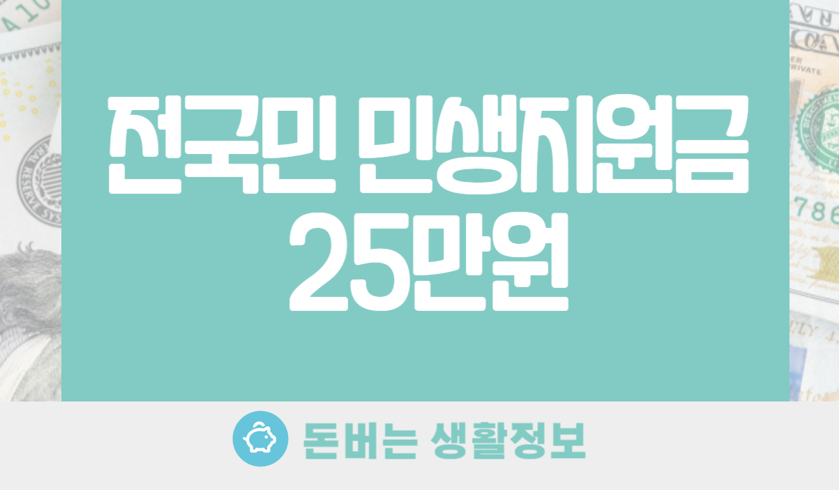 전국민 민생지원금 25만원