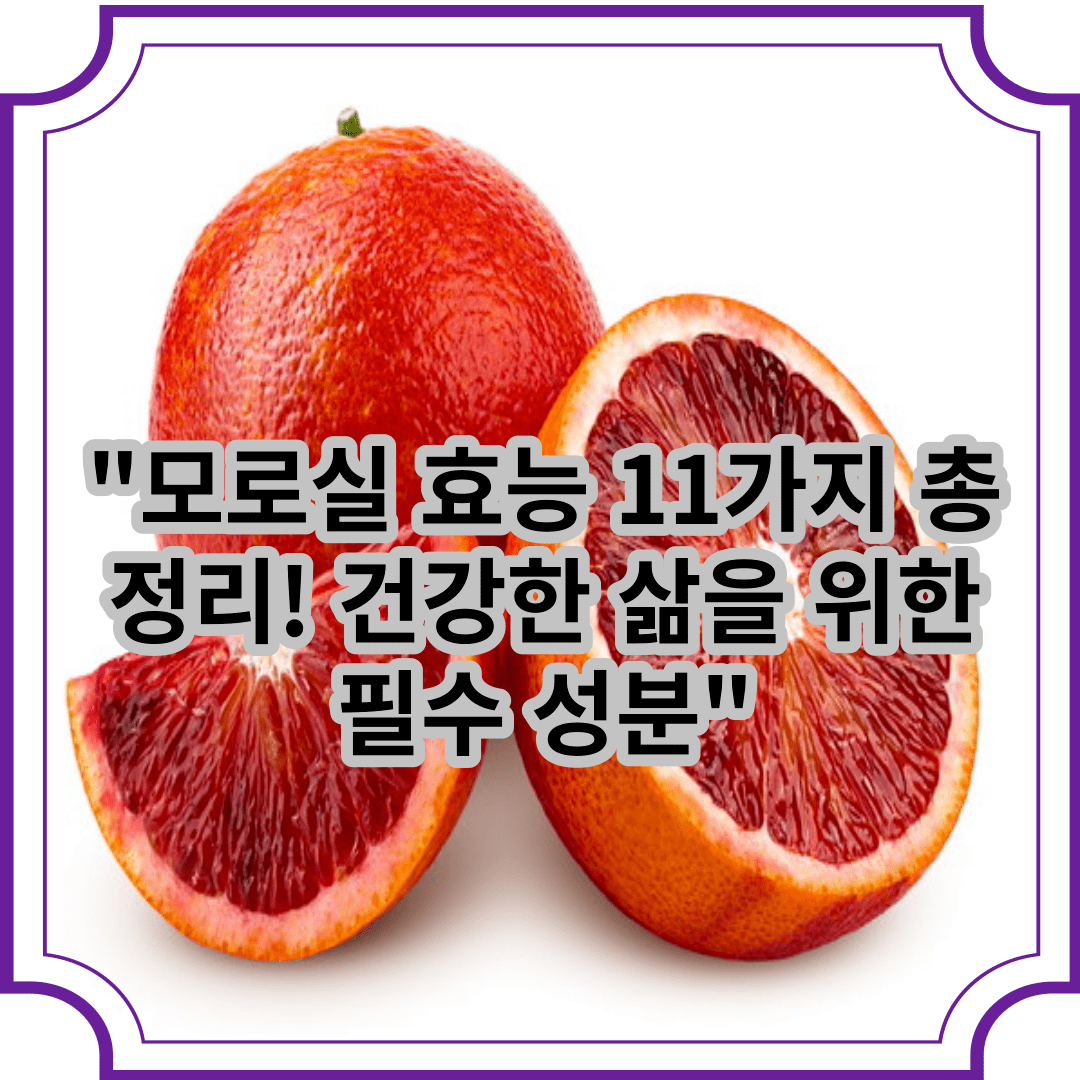 모로실 효능 11가지 총정리! 건강한 삶을 위한 필수 성분