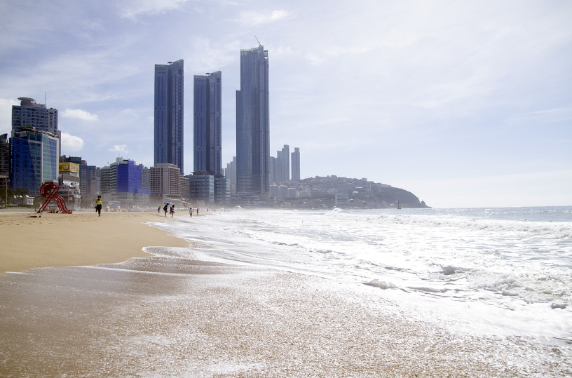 부산 축제 관련 사진