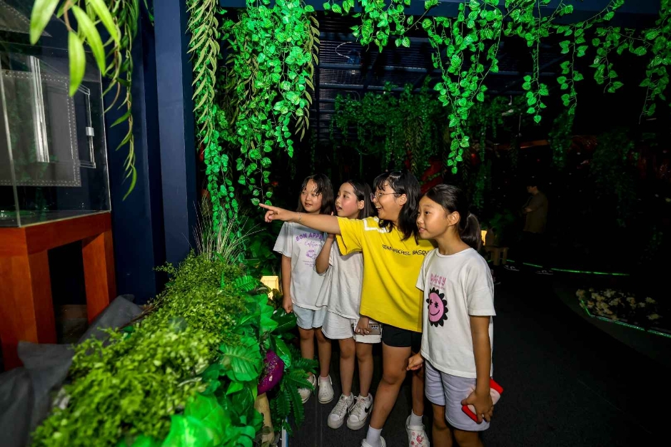 무주 반딧불축제