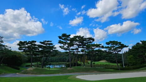 골프장 경험담 남여주cc 대중제 골프장의 최고 골프장 