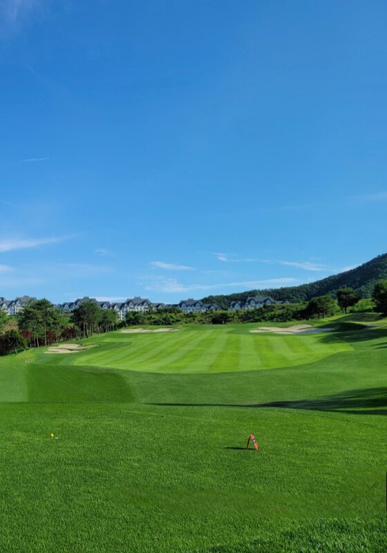 소노펠리체 CC EAST 코스전경