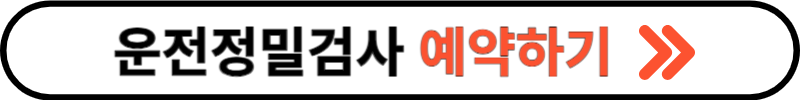 운전적성정밀검사